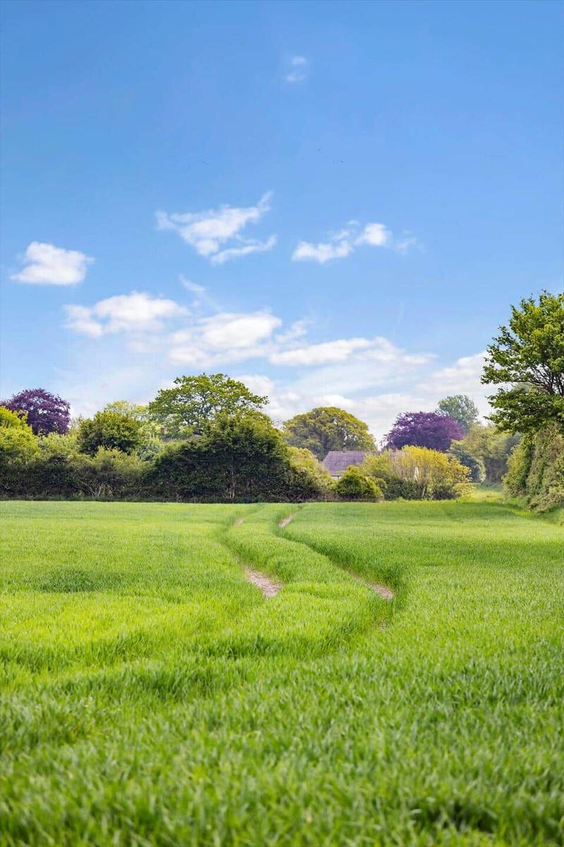 Green field with path, surrounded by trees under blue sky with white clouds.
