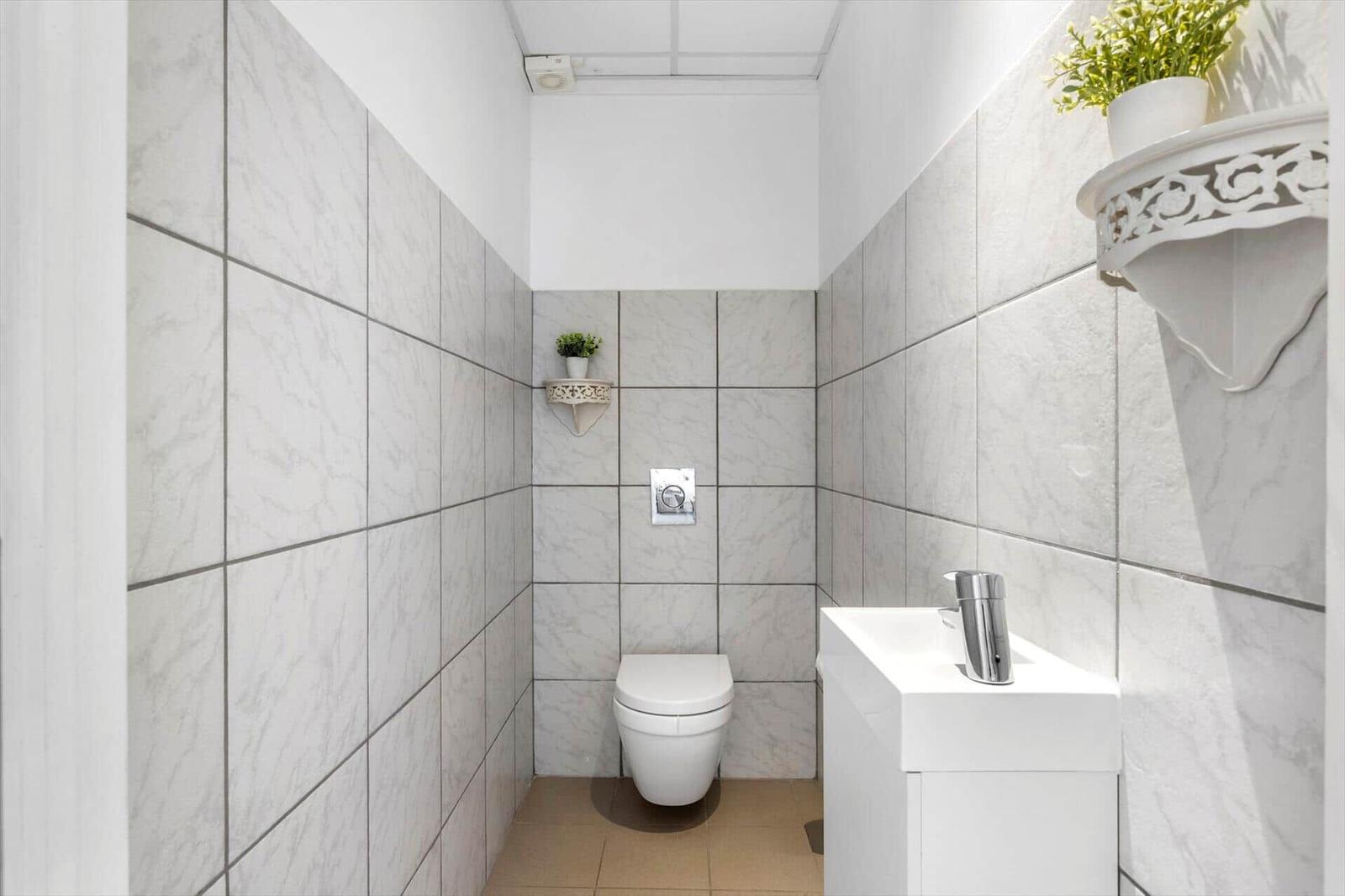 Bathroom with toilet, sink, and tiled walls. Small plants hang on the walls.