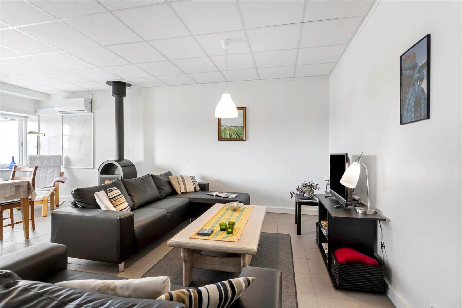 Living room with sofa, coffee table, and wood stove. TV and lighting are present.