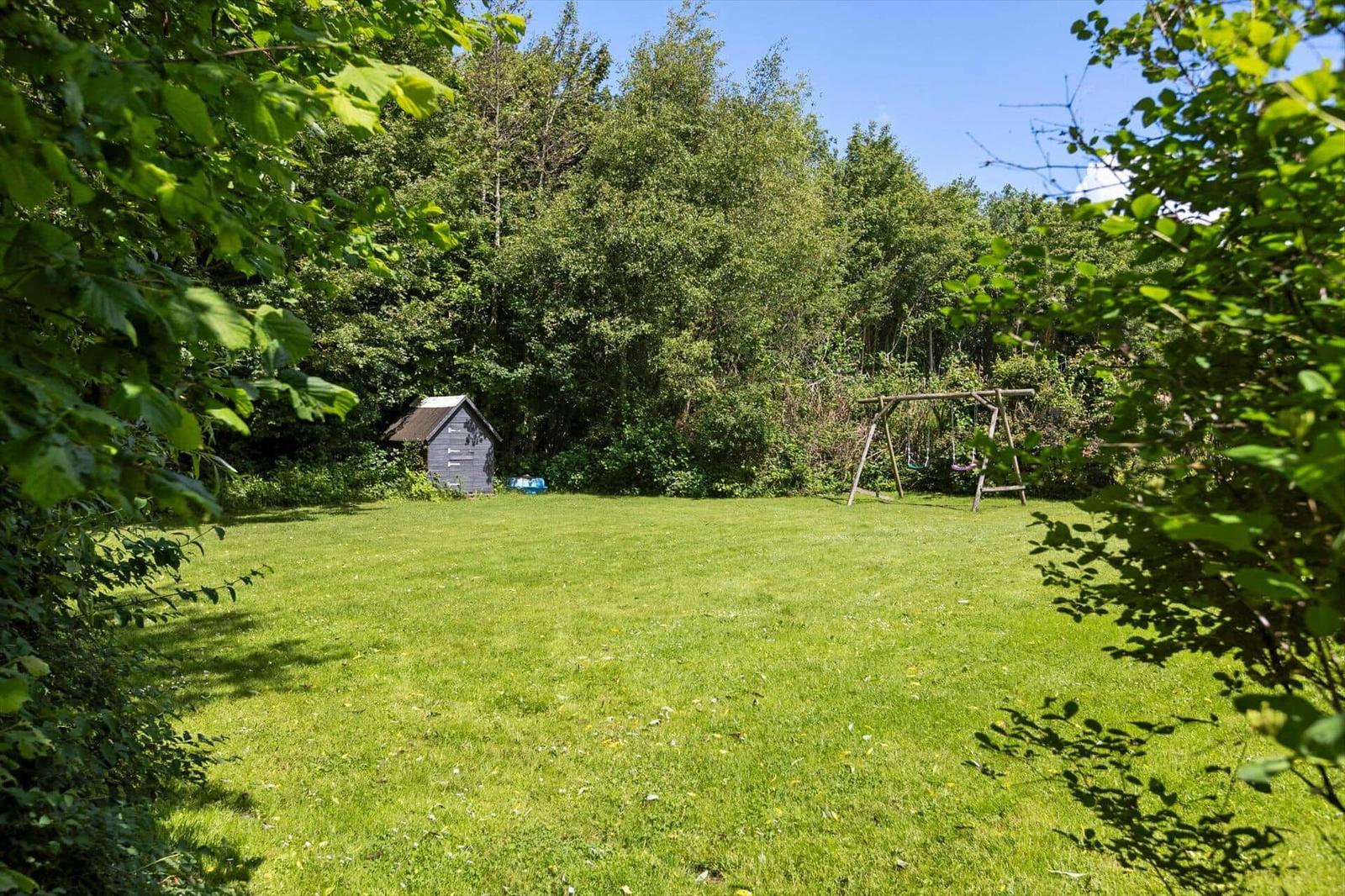 Green lawn area with swing and small wooden shed behind trees.