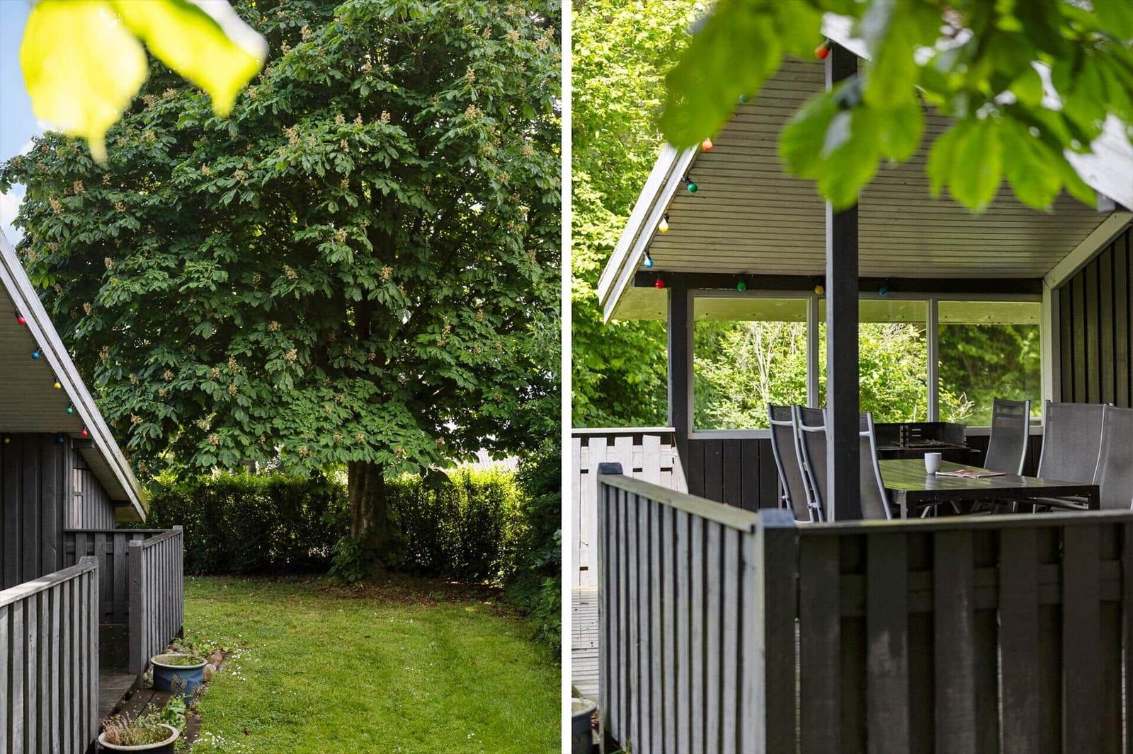 Backyard with large tree and covered terrace with table and chairs.