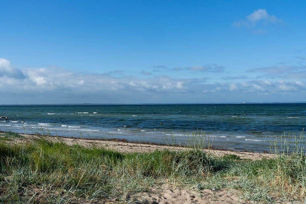 Beach with dunes and sea under blue sky with white clouds.