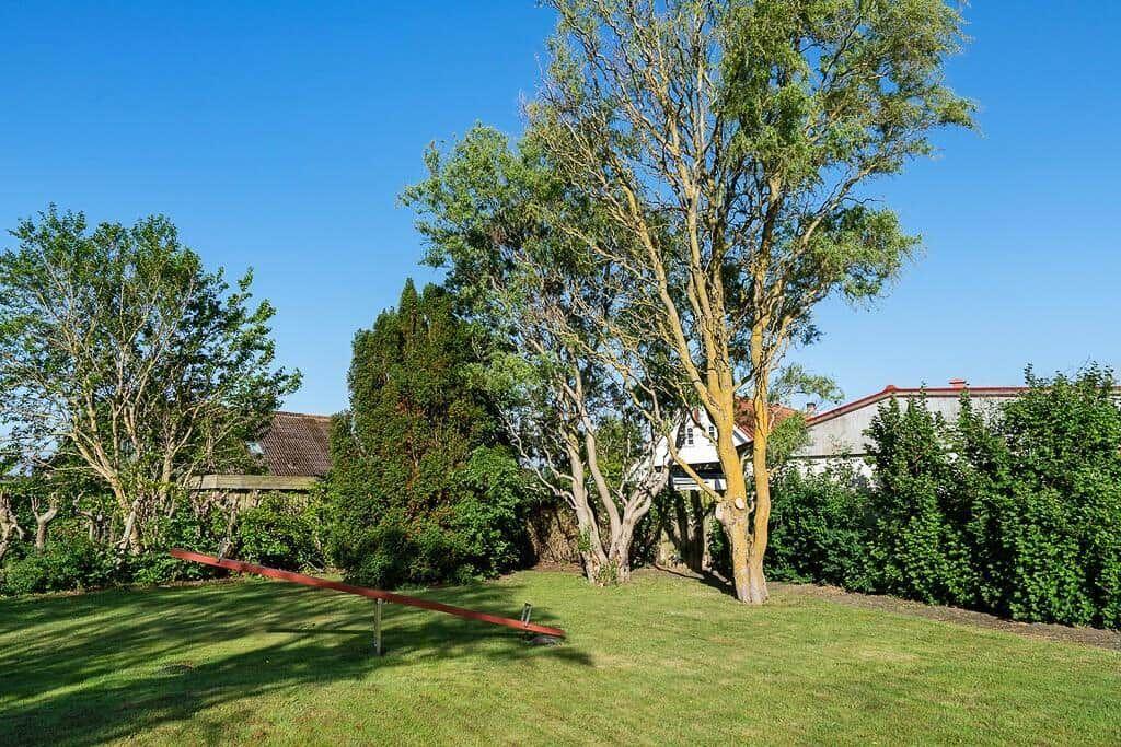 Green garden with play equipment and trees under blue sky.