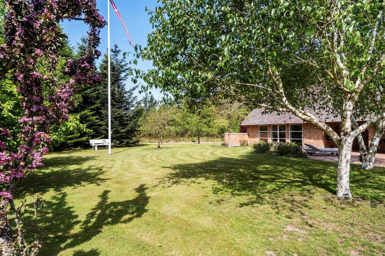 Grüner Rasenbereich mit Baum und Haus im Hintergrund. Daneben steht eine Bank und eine Flagge.