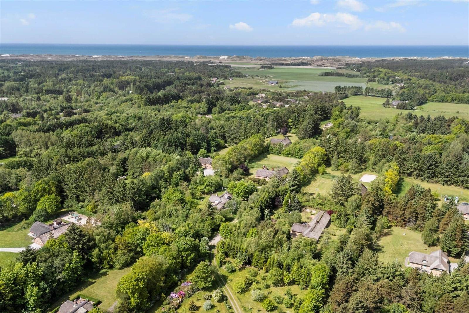 Ländliche Umgebung mit Wald, Grünflächen und Häusern. Im Hintergrund das Meer.