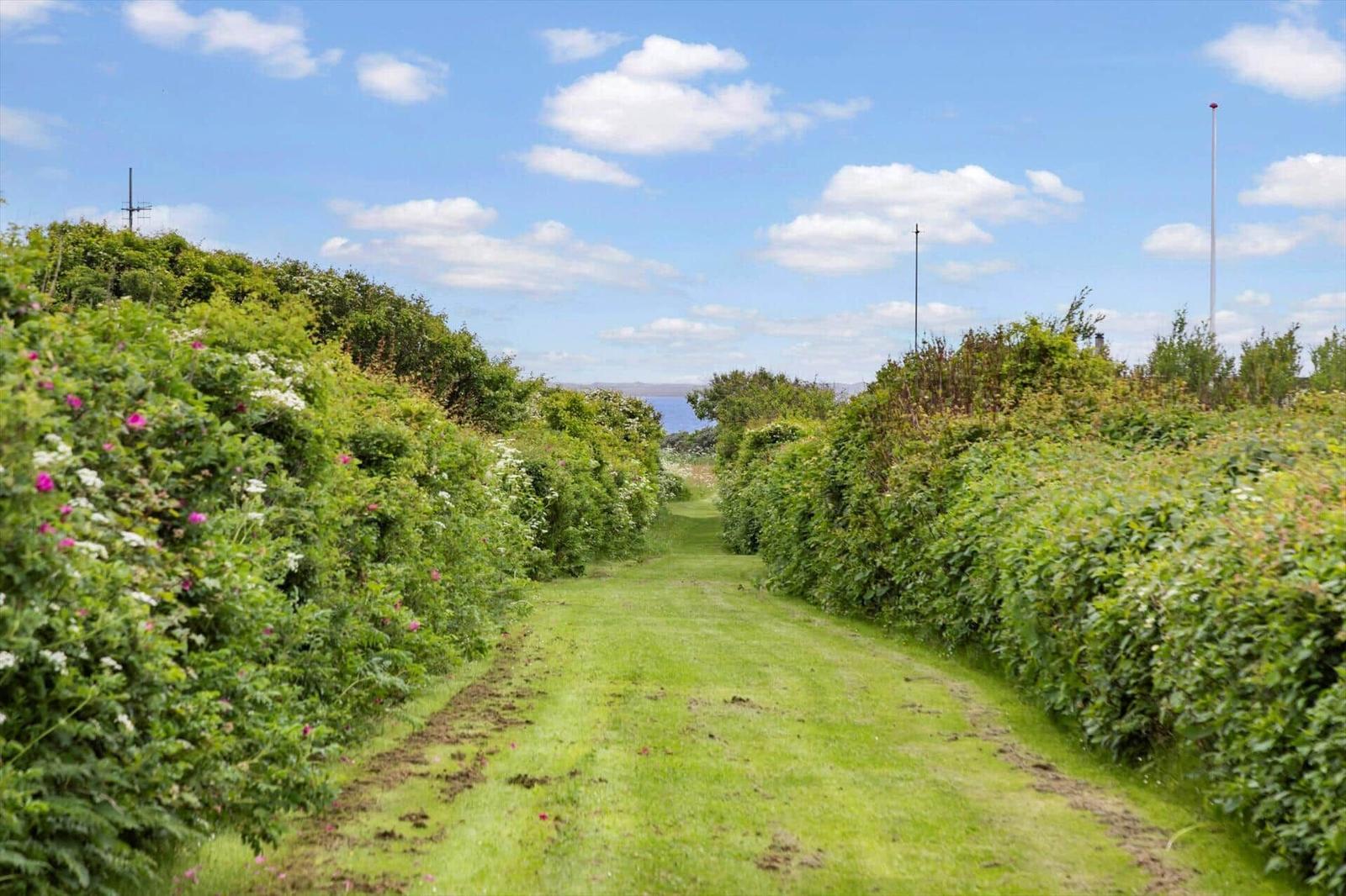 Grüner Weg durch üppige Hecken mit rosa und weißen Blumen unter blauem Himmel.