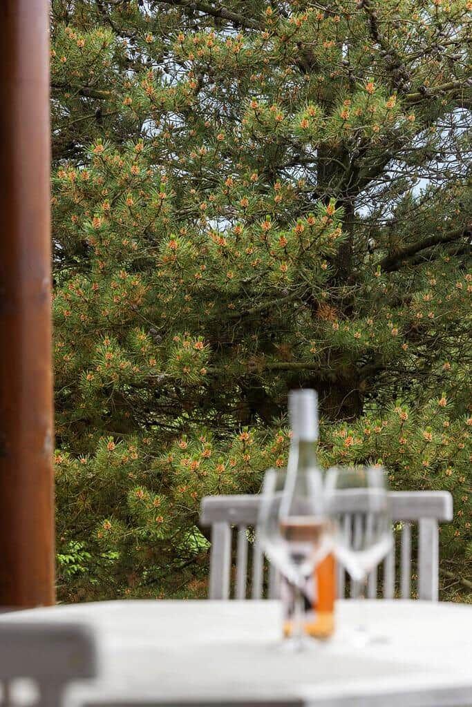 Table with wine bottle and glasses in front of green pine tree backdrop.