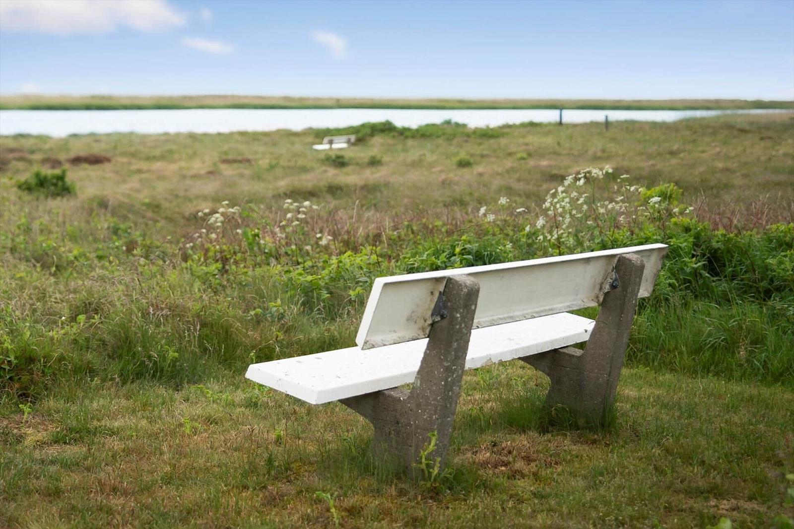 Weiße Bank im Gras, Blick auf einen See.