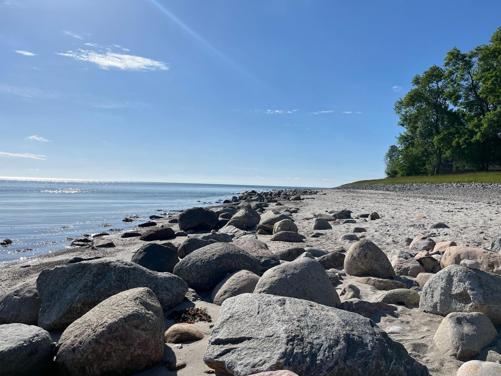 Strand mit Steinen und Bäumen am Ufer unter blauem Himmel.