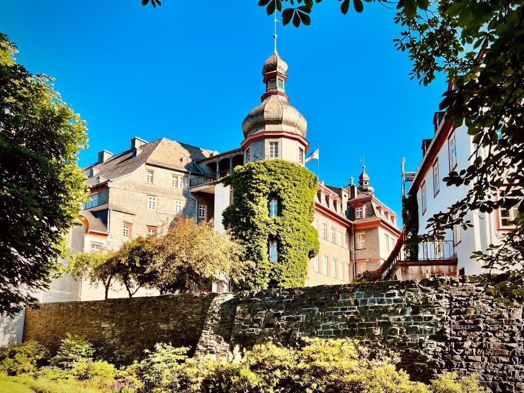 Schloss mit Turm und Kletterpflanzen, umgeben von Bäumen und Steinmauern unter blauem Himmel.
