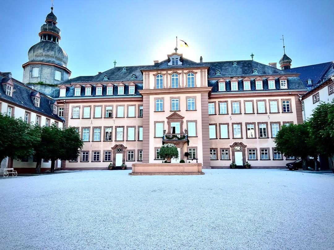 Historisches Schloss mit Hof und Turm. Fenster und Dach sind sichtbar.