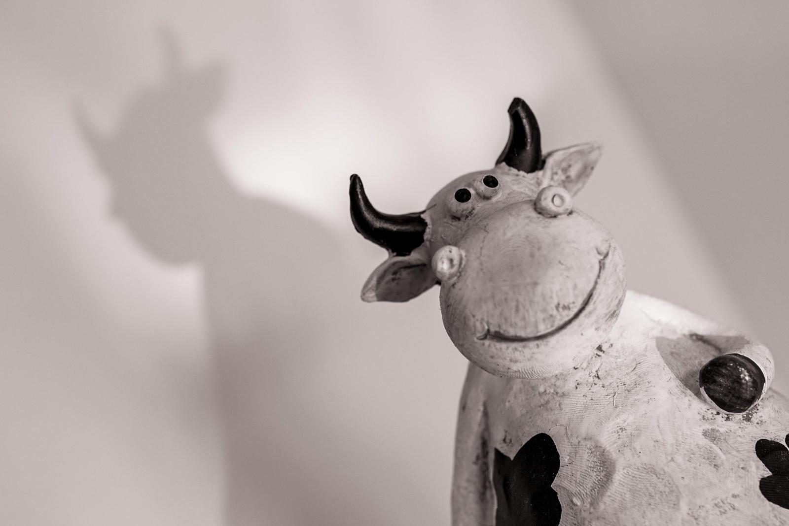 Eine schwarz-weiße Kuhfigur mit Hörnern und einem Lächeln wirft einen Schatten an der Wand.