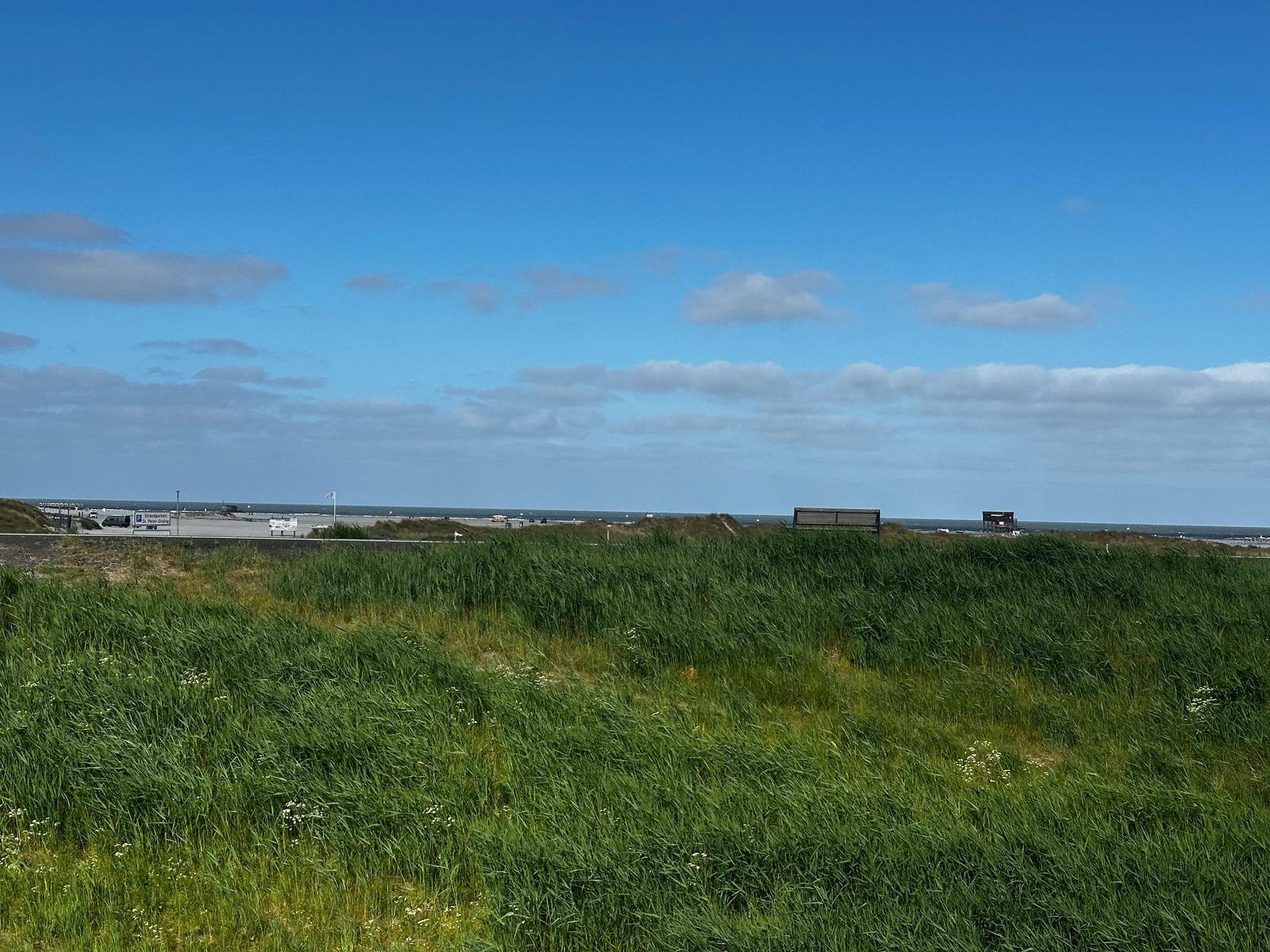Grünes Grasland mit Blick auf den Strand und den Himmel.