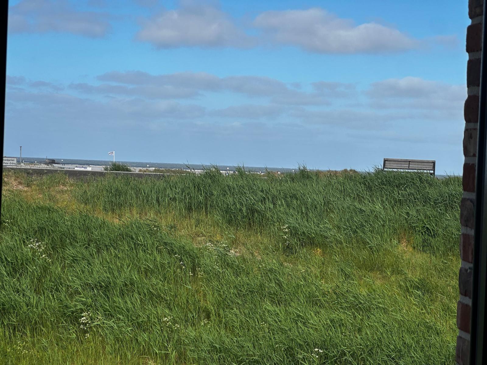 Grünes Grasflächen mit Blick auf Strandparken und Himmel