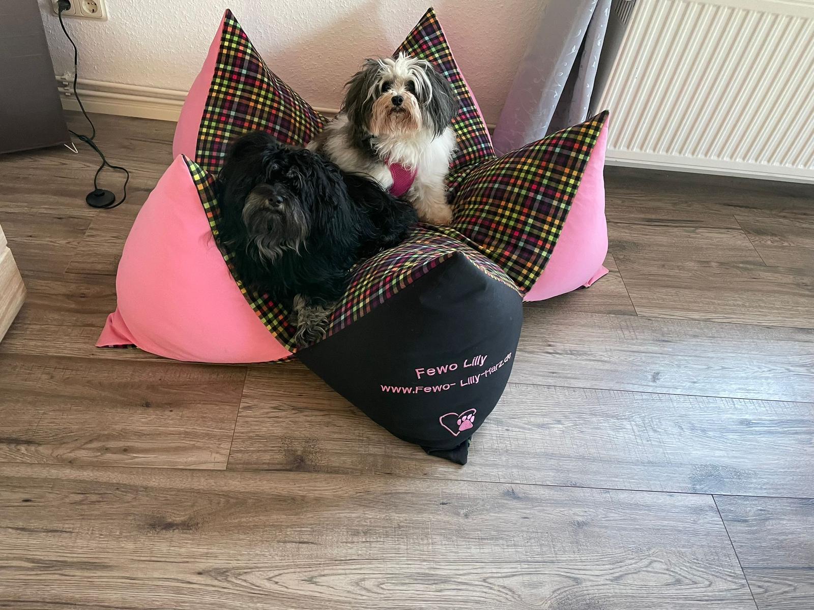 Zwei Hunde sitzen auf einem rosa Kissen mit kariertem Stoff.