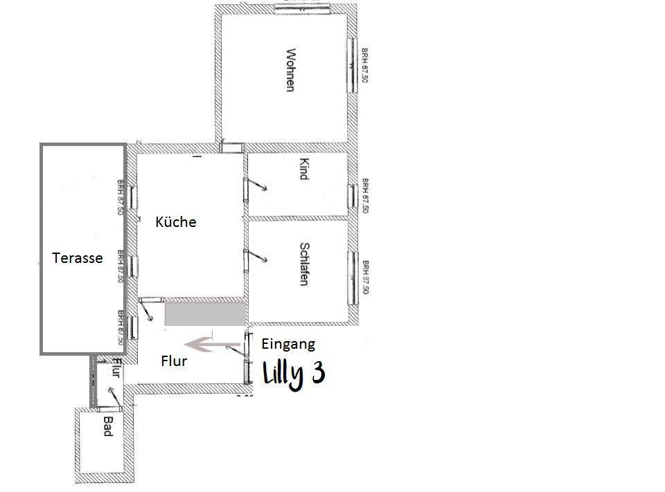 Wohnung mit Küche, Wohnzimmer, Schlafzimmer, Bad und Terrasse. Eingang Flur.
