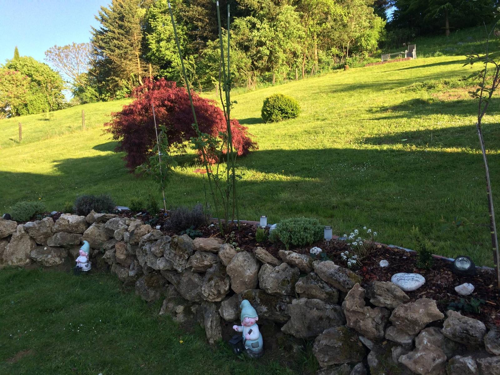 Garten mit Steinmauer, rotem Laubbaum und Gartengnome. Grasfläche und Bäume im Hintergrund.