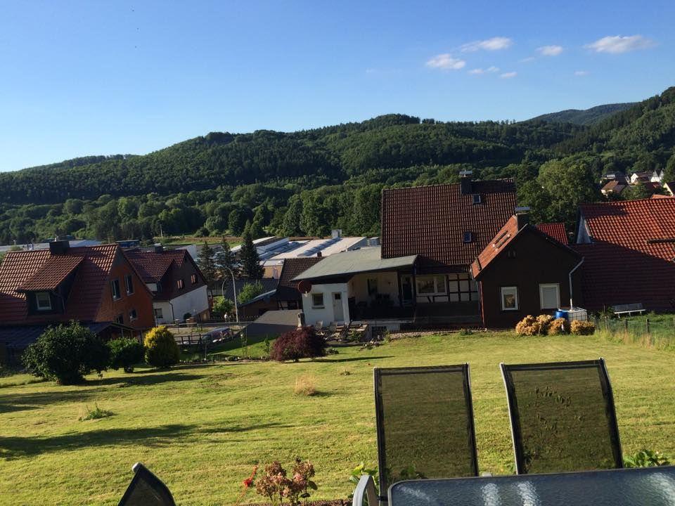 Grüner Garten mit Blick auf Häuser und bewaldete Berge unter blauem Himmel.