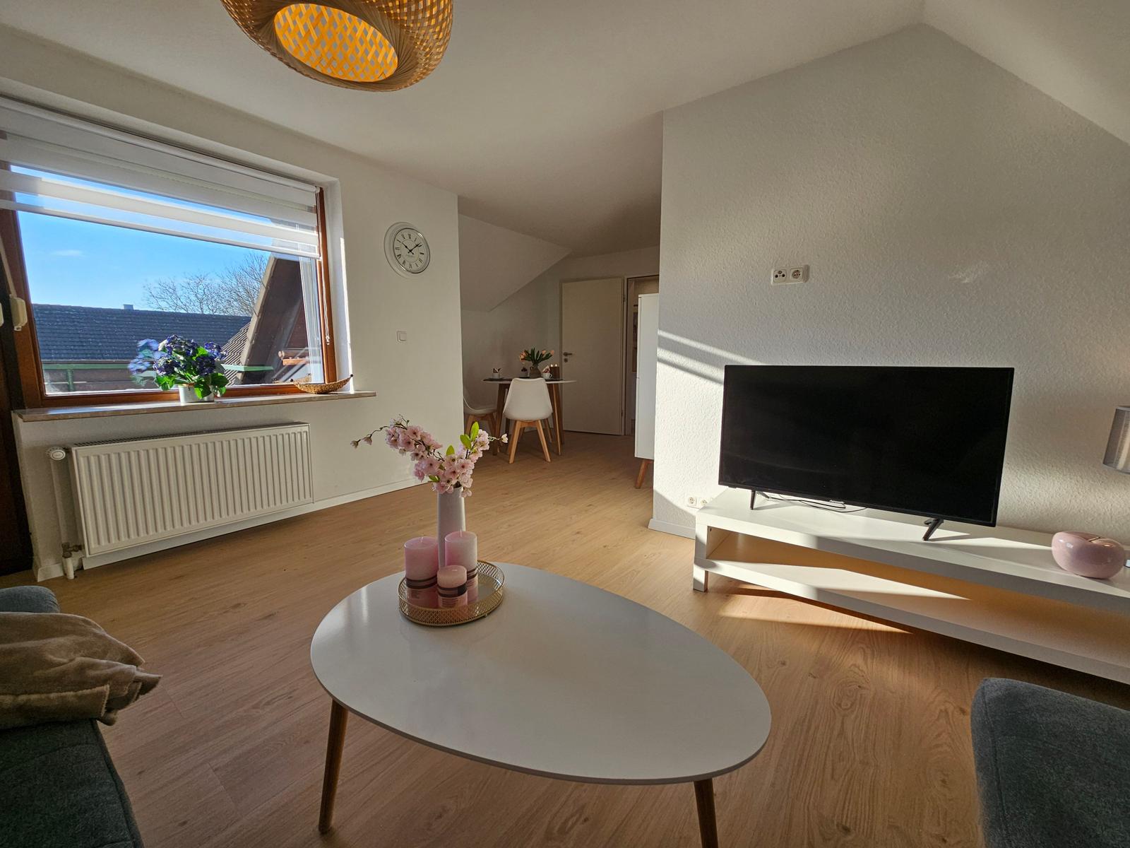 Wohnzimmer mit Fernseher, Couch und Tisch. Fenster mit Blick auf Dach. Holzboden.