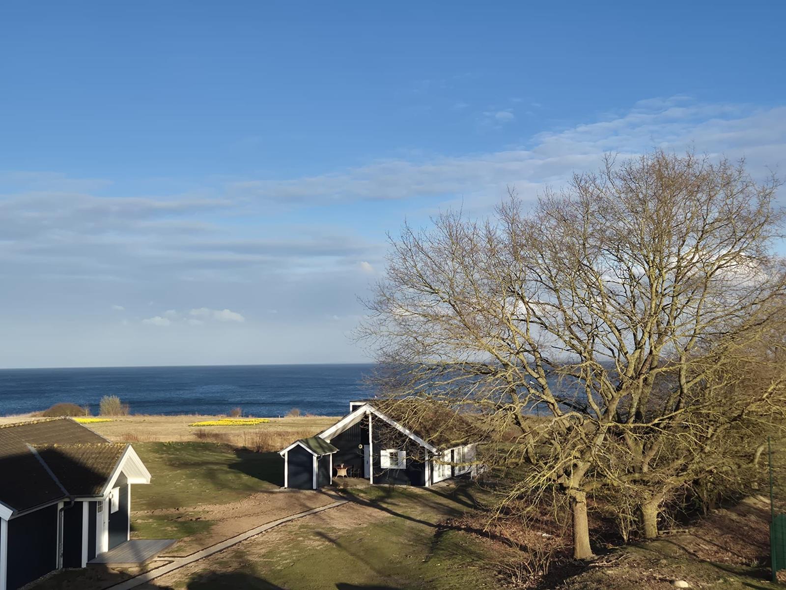 Schwarze Häuser mit weißem Fensterrahmen, Blick auf das Meer und einen großen kahlen Baum.