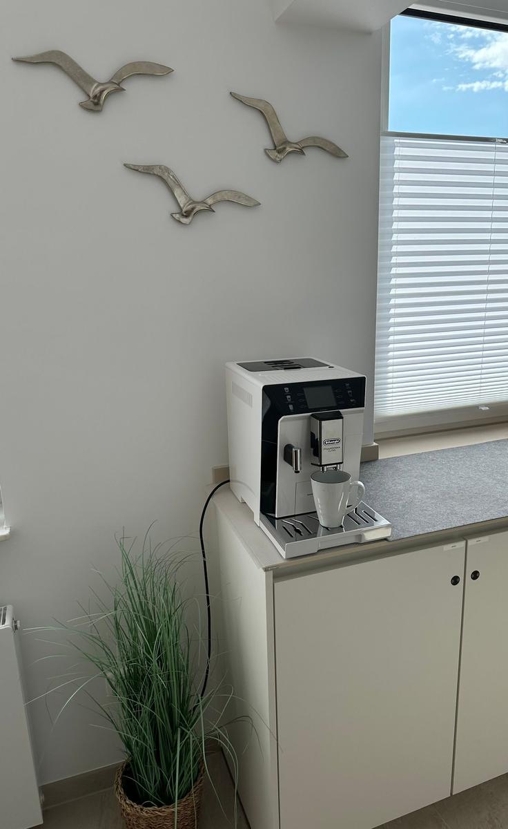 Espresso-Maschine auf Schrank mit Pflanze und Vogel-Dekoration an der Wand.