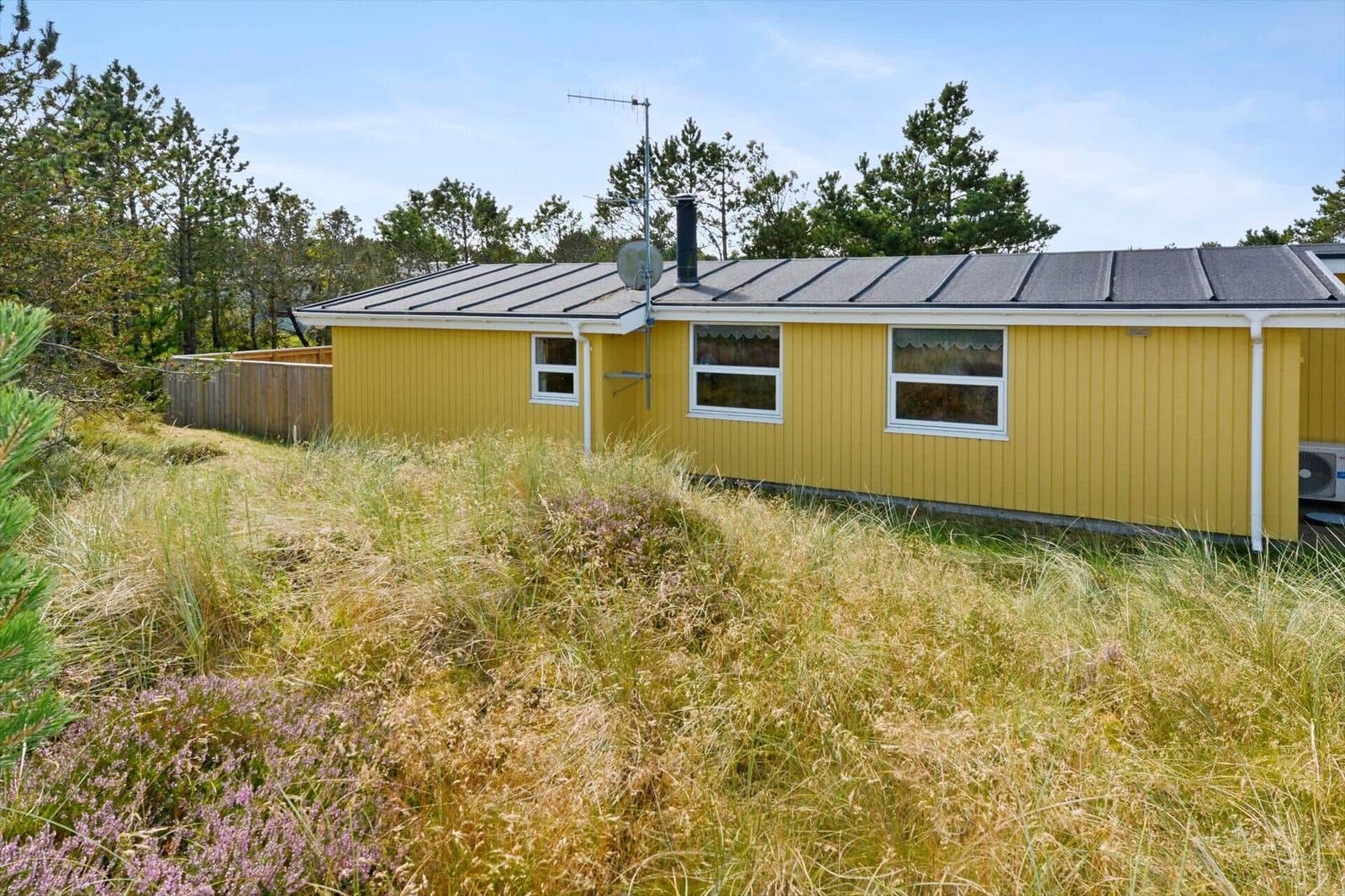 Gelbes Haus mit Dach, Fenstern und Antenne. Umgeben von Gras und Bäumen.