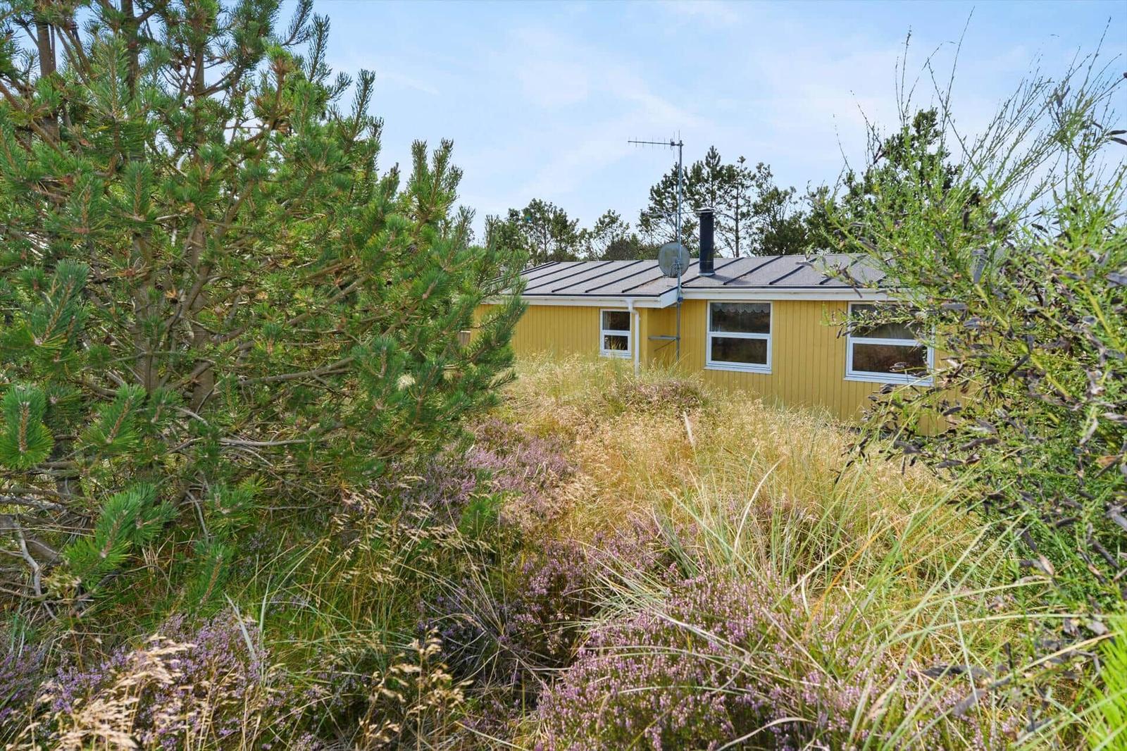 Gelbes Haus mit Dachantenne und Fenstern, umgeben von Gräsern und Nadelbäumen.
