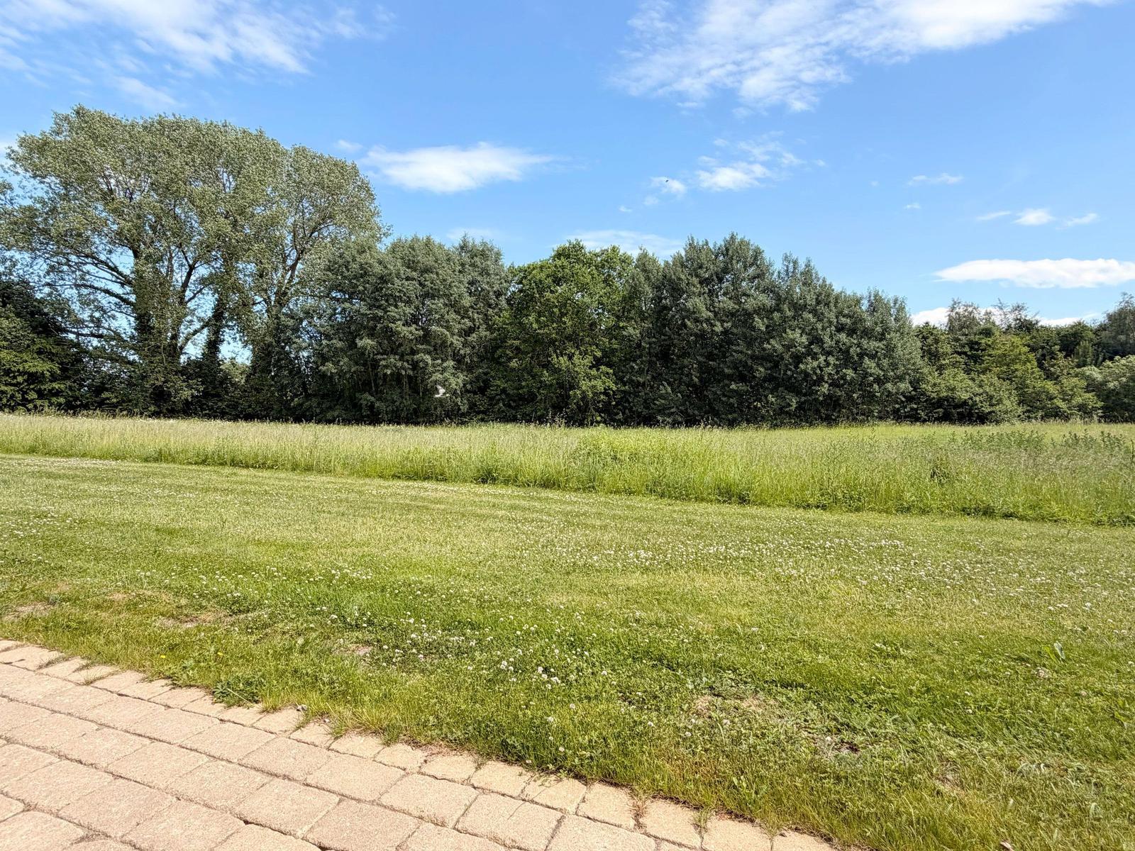 Grünes Feld mit Bäumen im Hintergrund und gepflastertem Weg im Vordergrund.