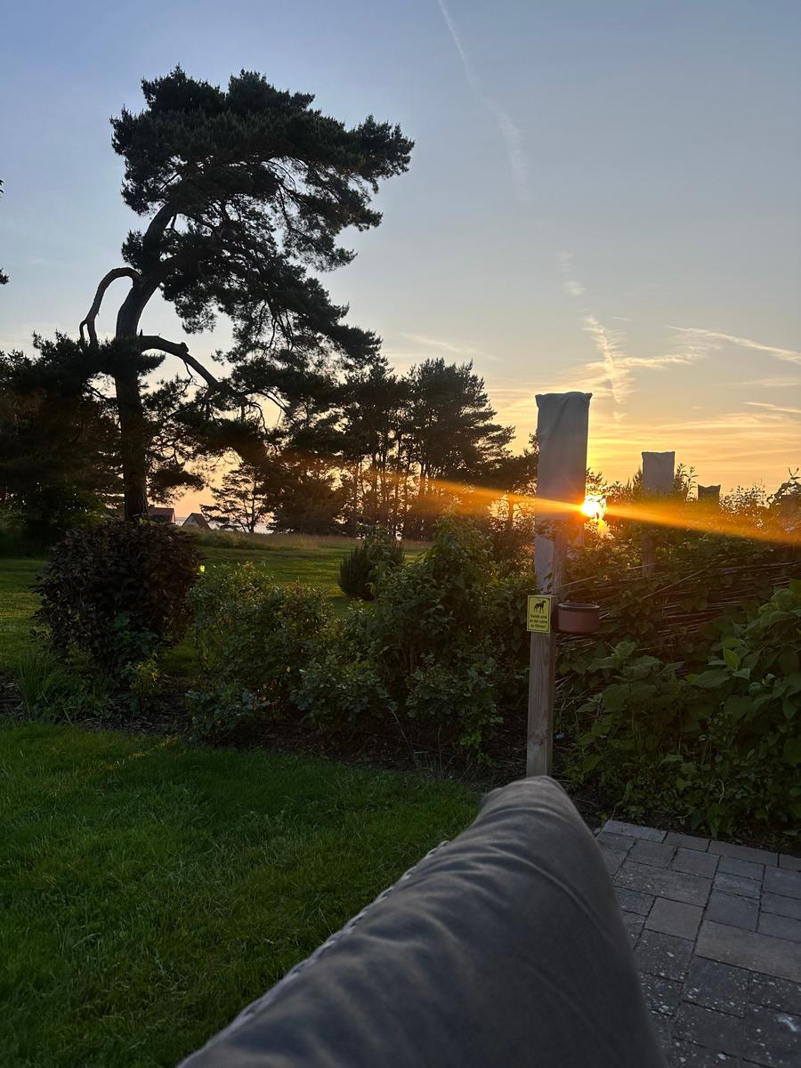 Sonnenuntergang hinter Bäumen mit Grünfläche und Pfad im Vordergrund.