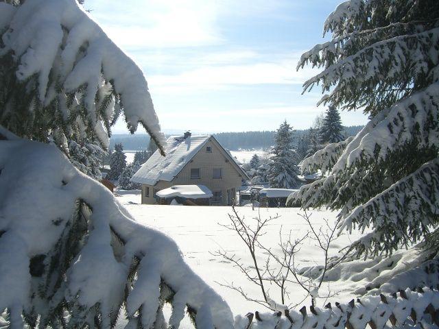 Blick aus dem Garten im Winter