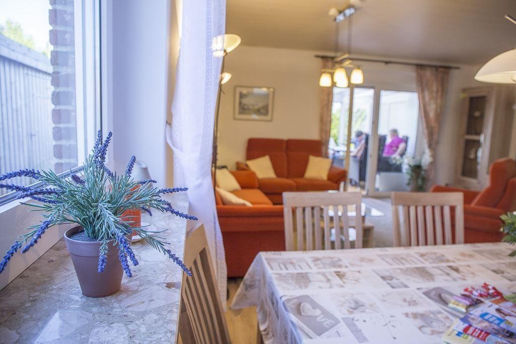 Essbereich mit Tischdecke und Pflanze. Im Hintergrund Wohnzimmer mit Sofa und Stühlen.