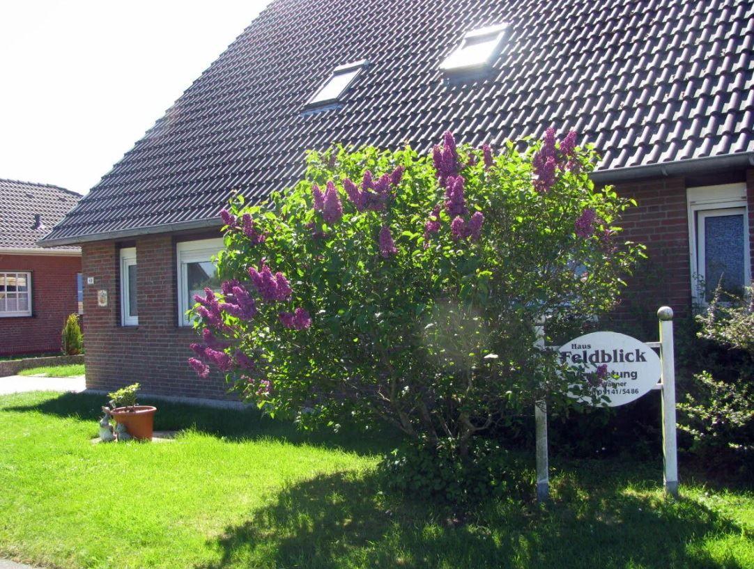 Haus Feldblick mit Lilienbaum und Schild vor rotem Backsteinhaus.