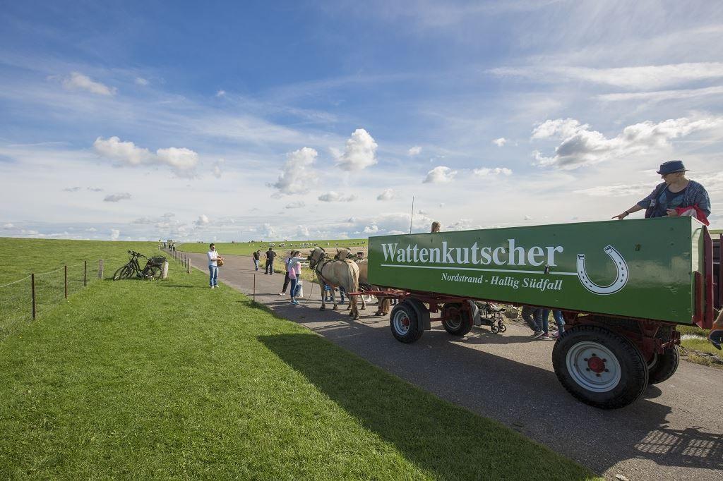Ein grüner Wagen mit Pferdegespann fährt auf einer Straße durch eine grüne Landschaft.