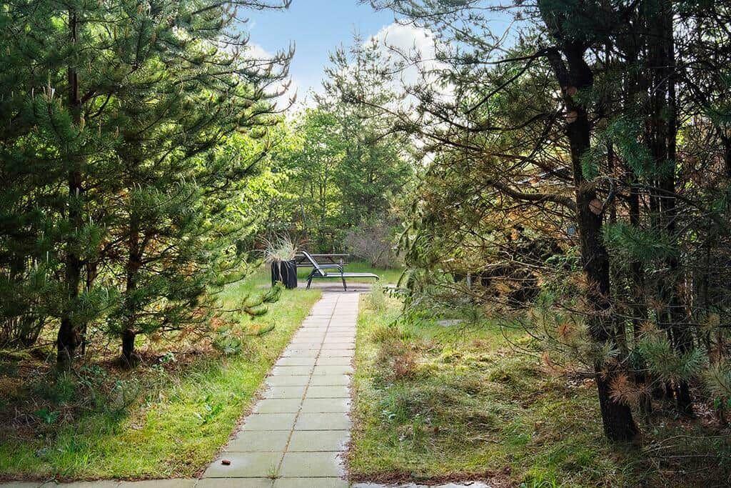 Pfad durch Wald zum Grillplatz mit Tisch und Bänken