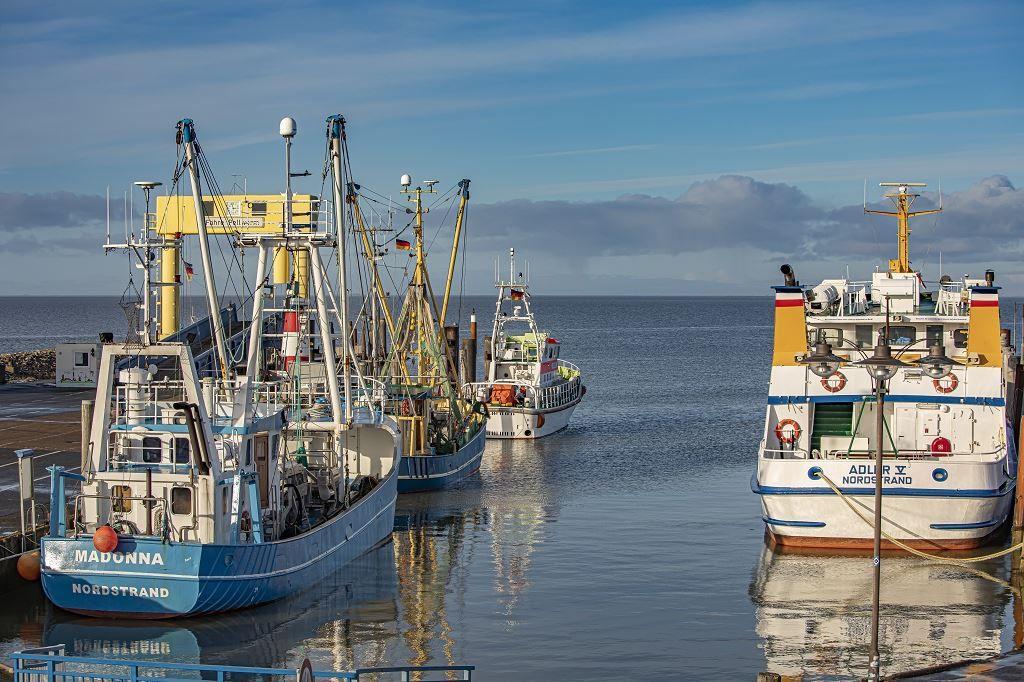 Hafen mit mehreren Fischkatzendruckern und Booten im ruhigen Wasser.