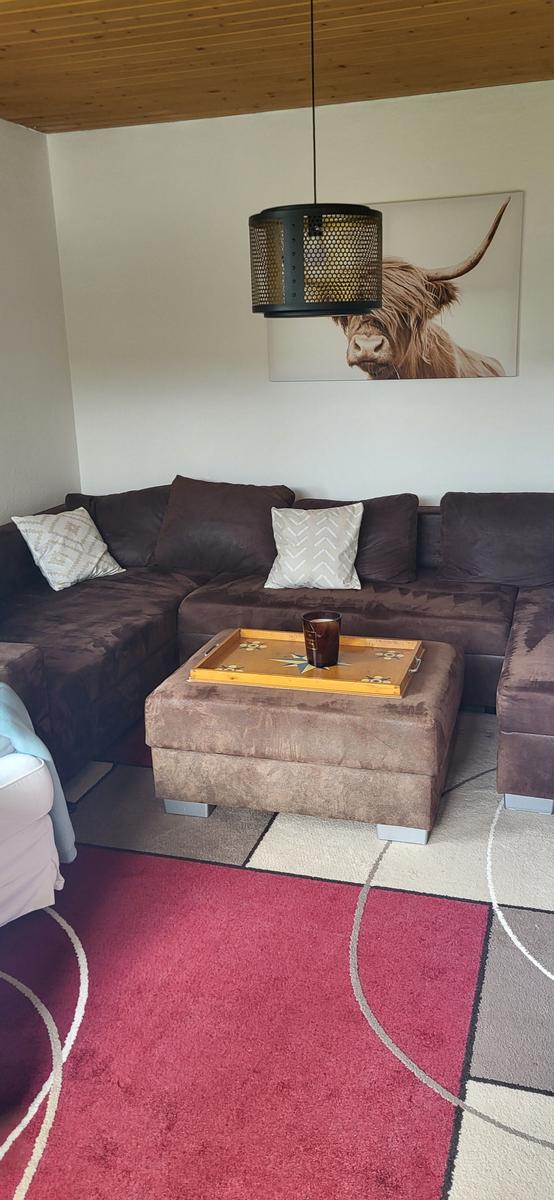 Ein Wohnzimmer mit braunem Sofa, einem Kissen und einem Bild an der Wand.