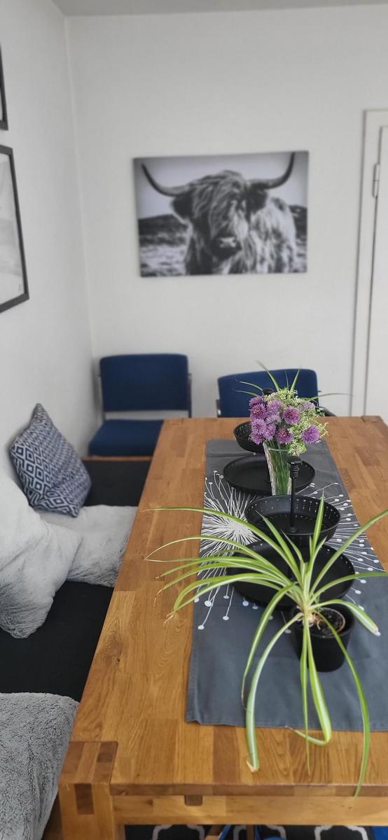 Esszimmer mit Holztisch, Pflanzen und Wandbild eines Hochlandrindes.