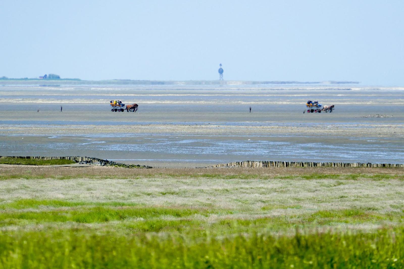 Weite Flächen mit Gras und Watt, zwei Pferdekarren sind im Hintergrund sichtbar.