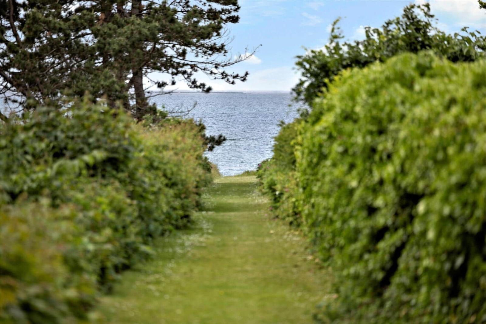 Path through green hedges to the sea