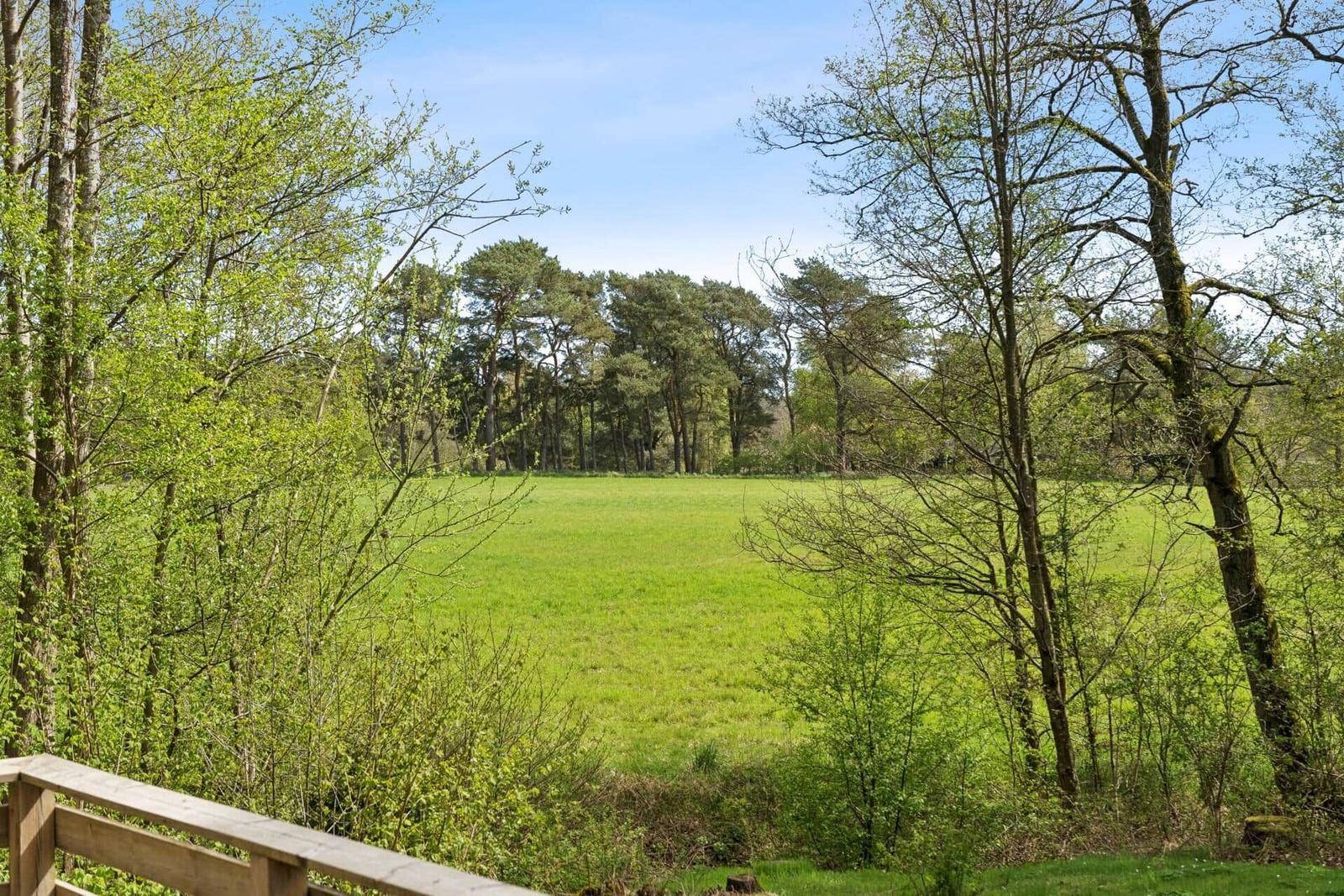 Grünes Feld mit Bäumen und Himmel. Holzgeländer im Vordergrund.