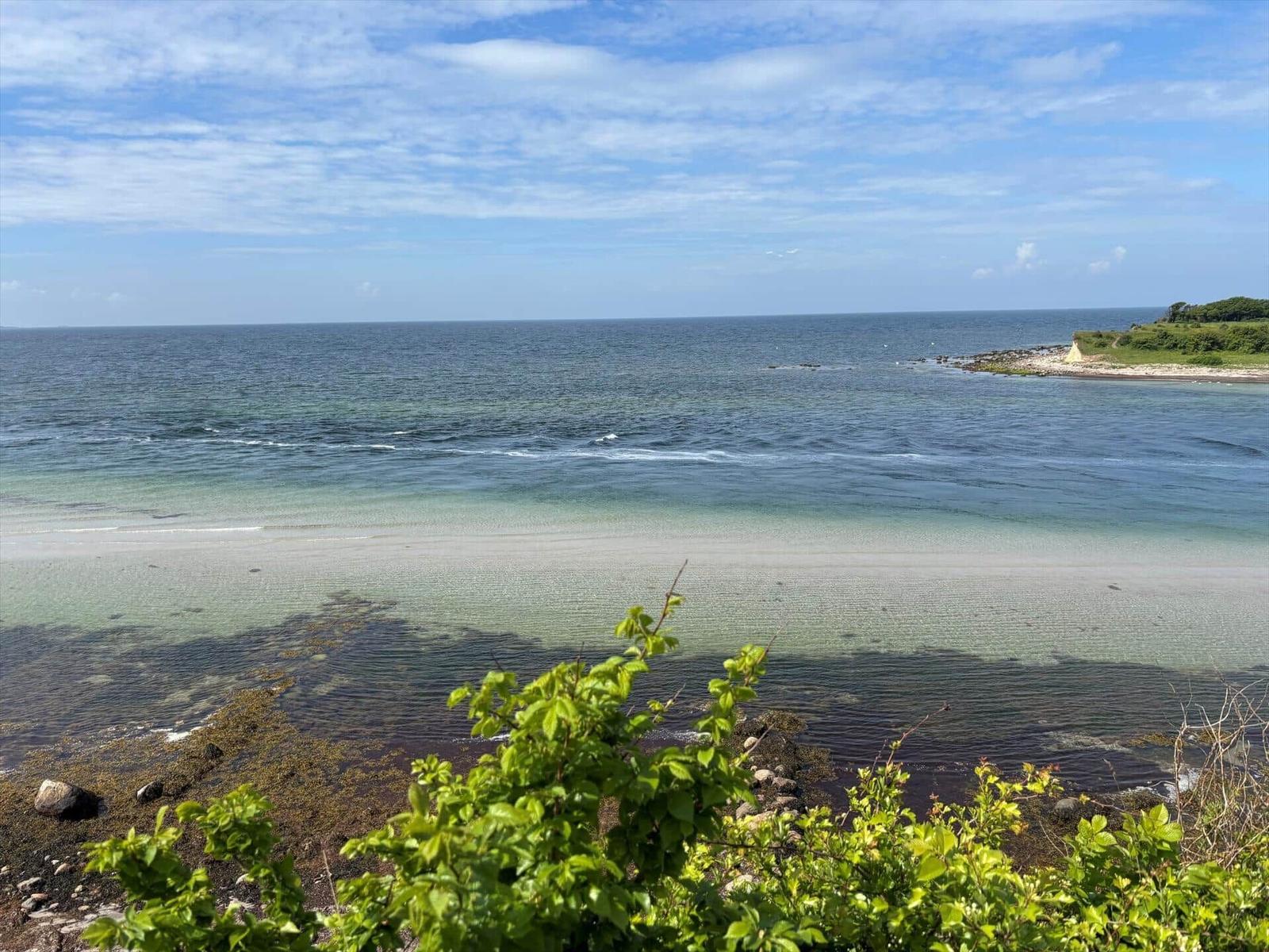 Sea with sandy beach and green vegetation in foreground under blue sky.