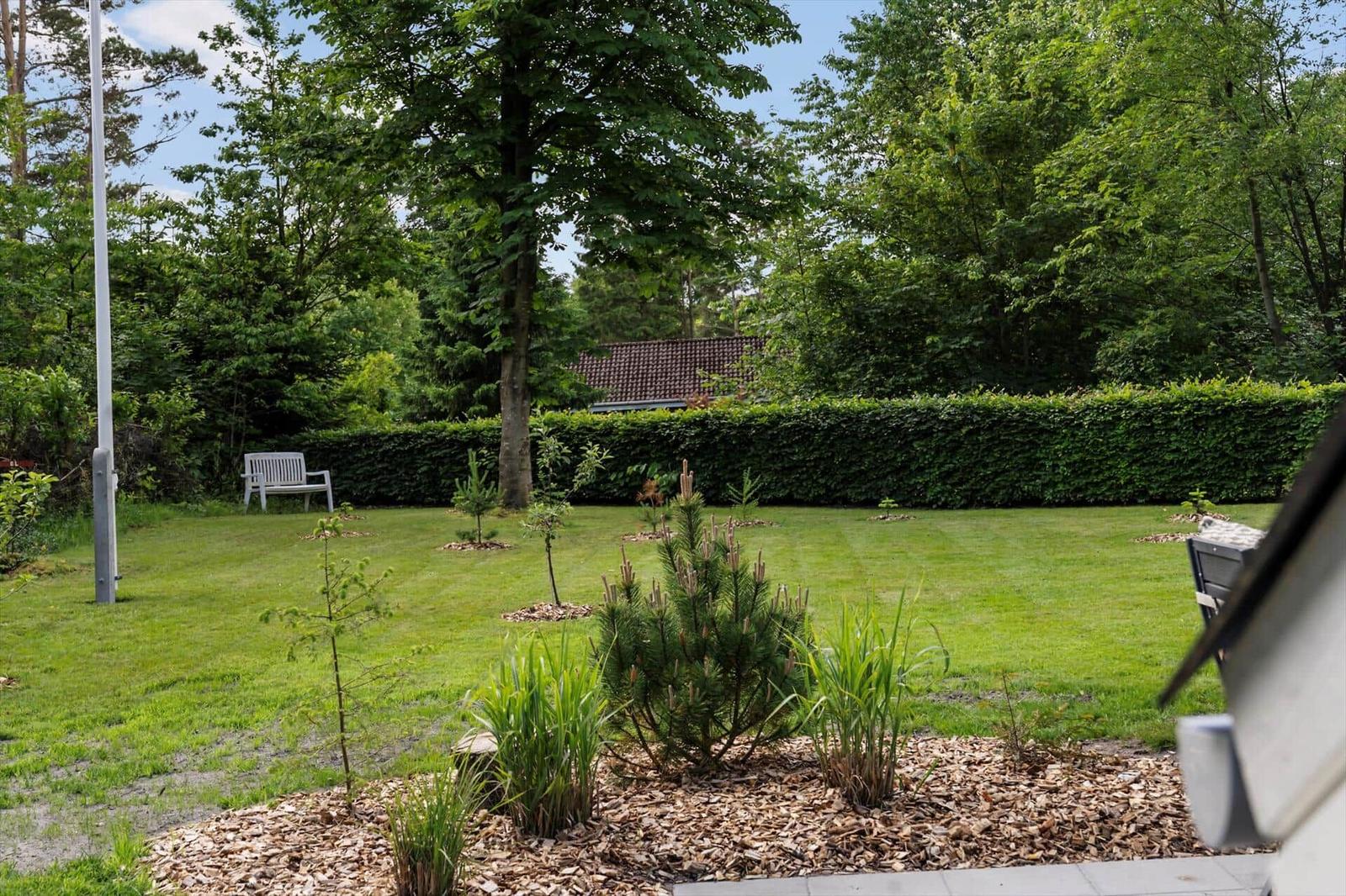 Ein großer grüner Garten mit einer weißen Bank, jungen Bäumen und einemheckenverkleideten Zaun.