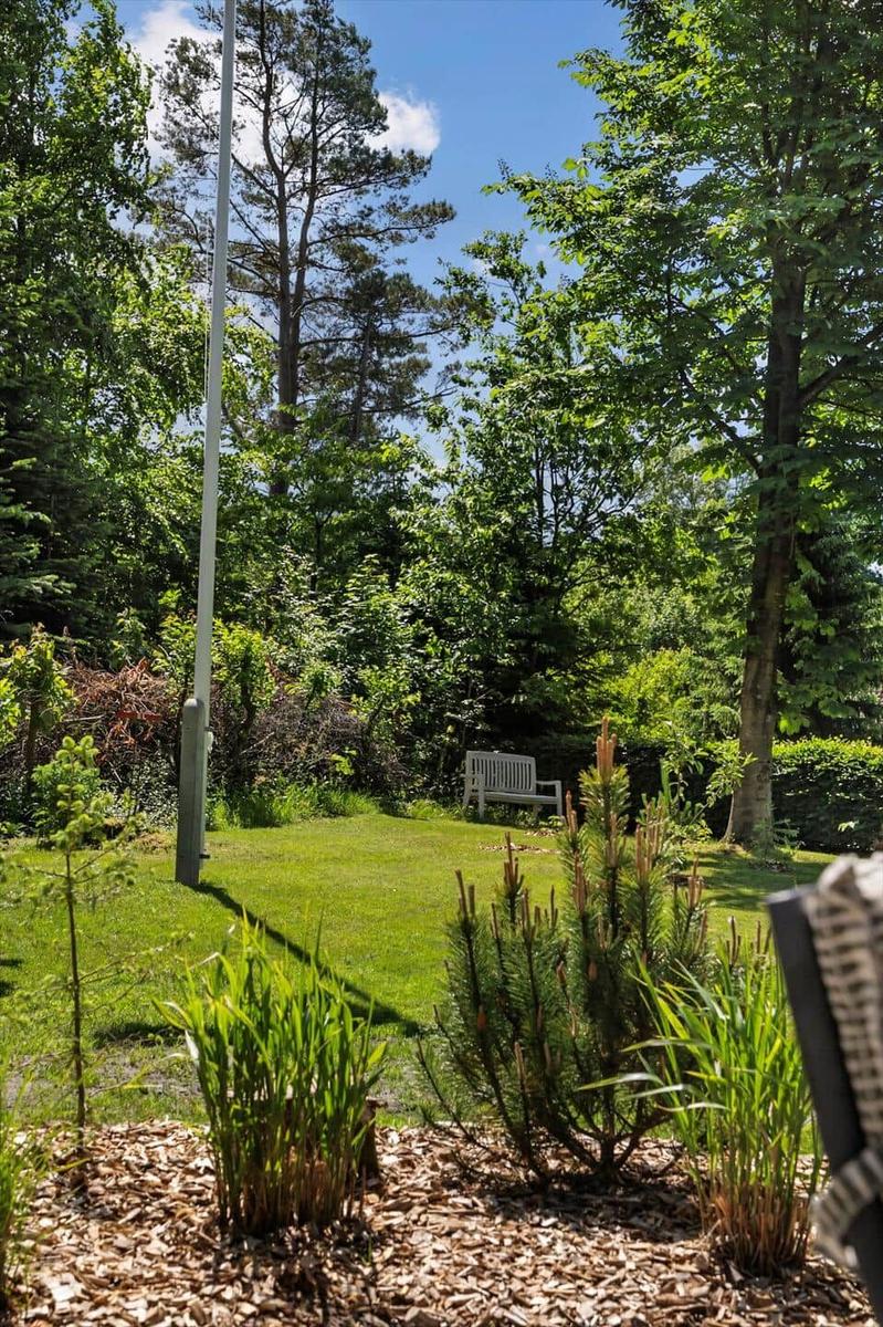 Grüner Garten mit Bank, Bäumen und Rasenfläche unter blauem Himmel.