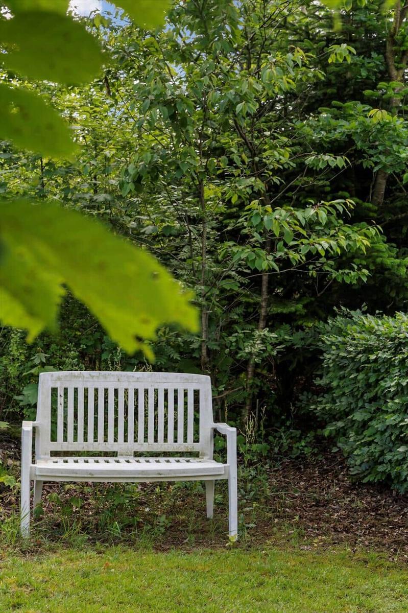 Eine weiße Bank steht im Garten unter Bäumen und Sträuchern.