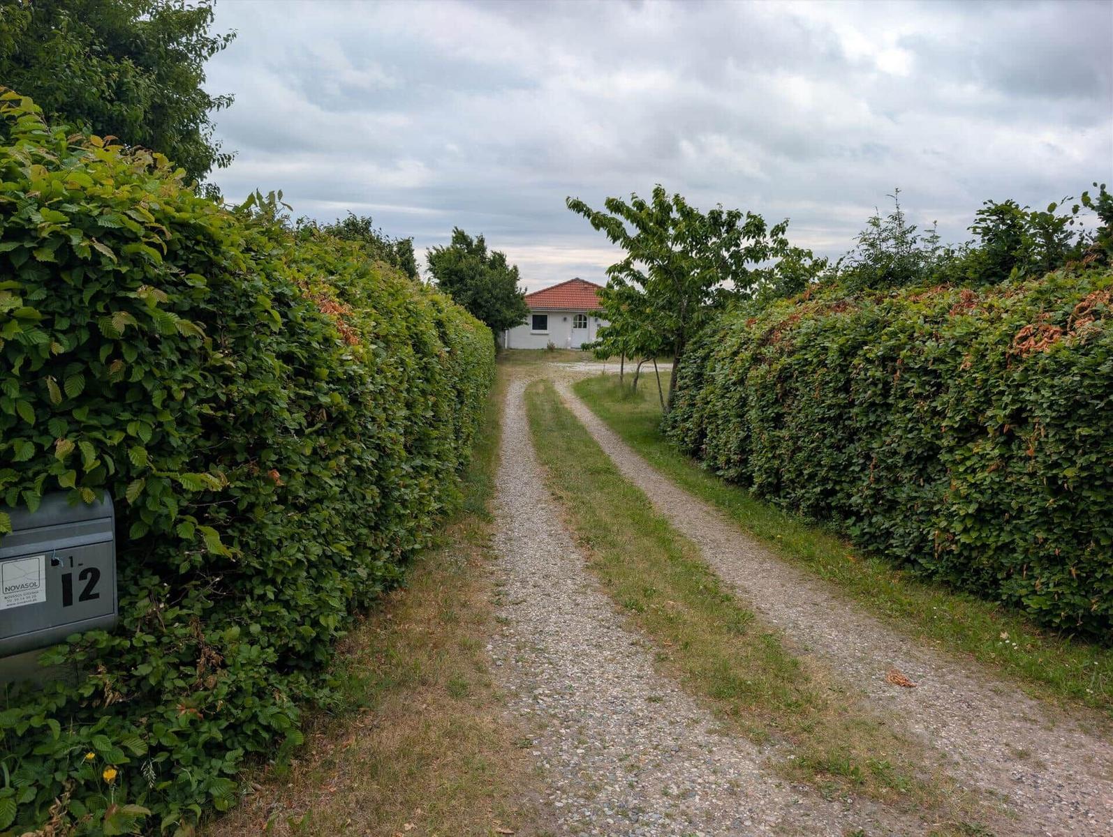 A path through hedges leads to a white house with a red roof.