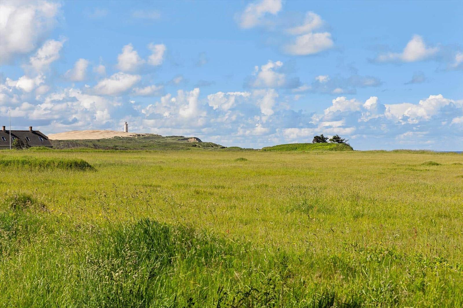 Wide grassland under blue sky with lighthouse and house in background.