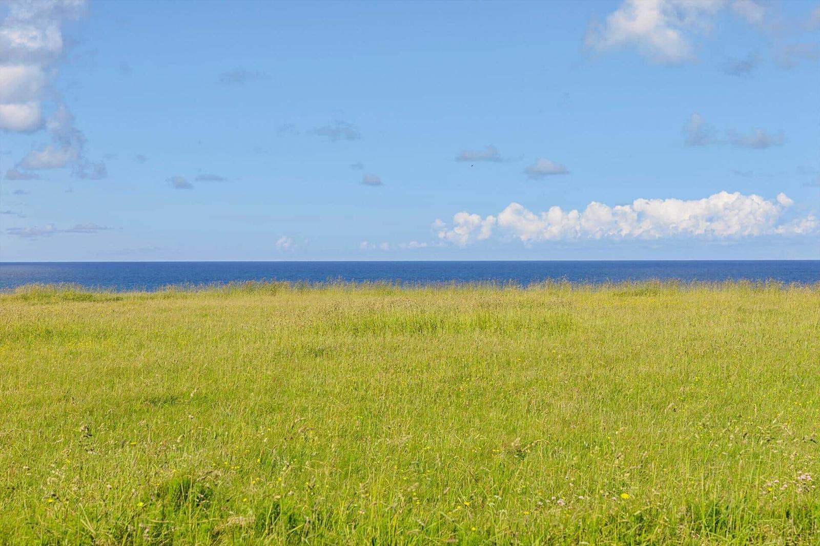 Wide grassland leads to the blue sea under a clear sky with white clouds.