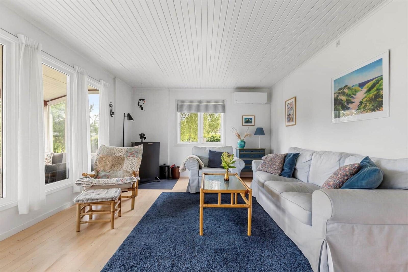 Living room with sofa, chair, table, and rug. Windows and ceiling are white.