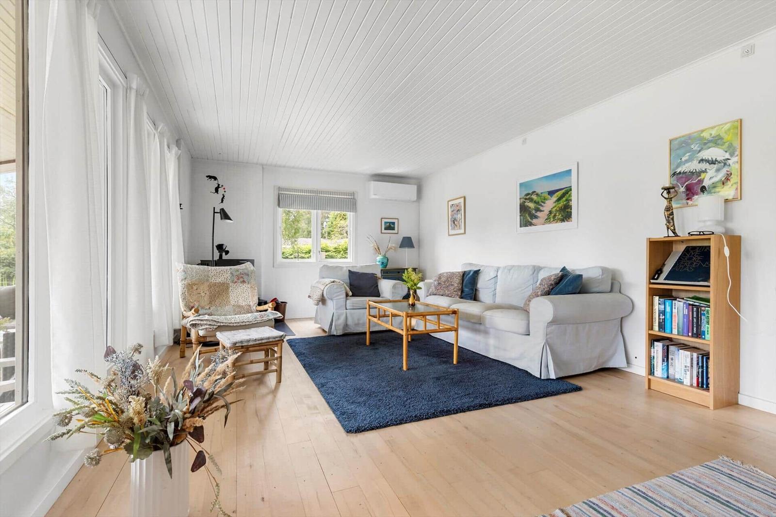 Living room with sofa, coffee table, and bookshelf. Wooden floor and blue rug.