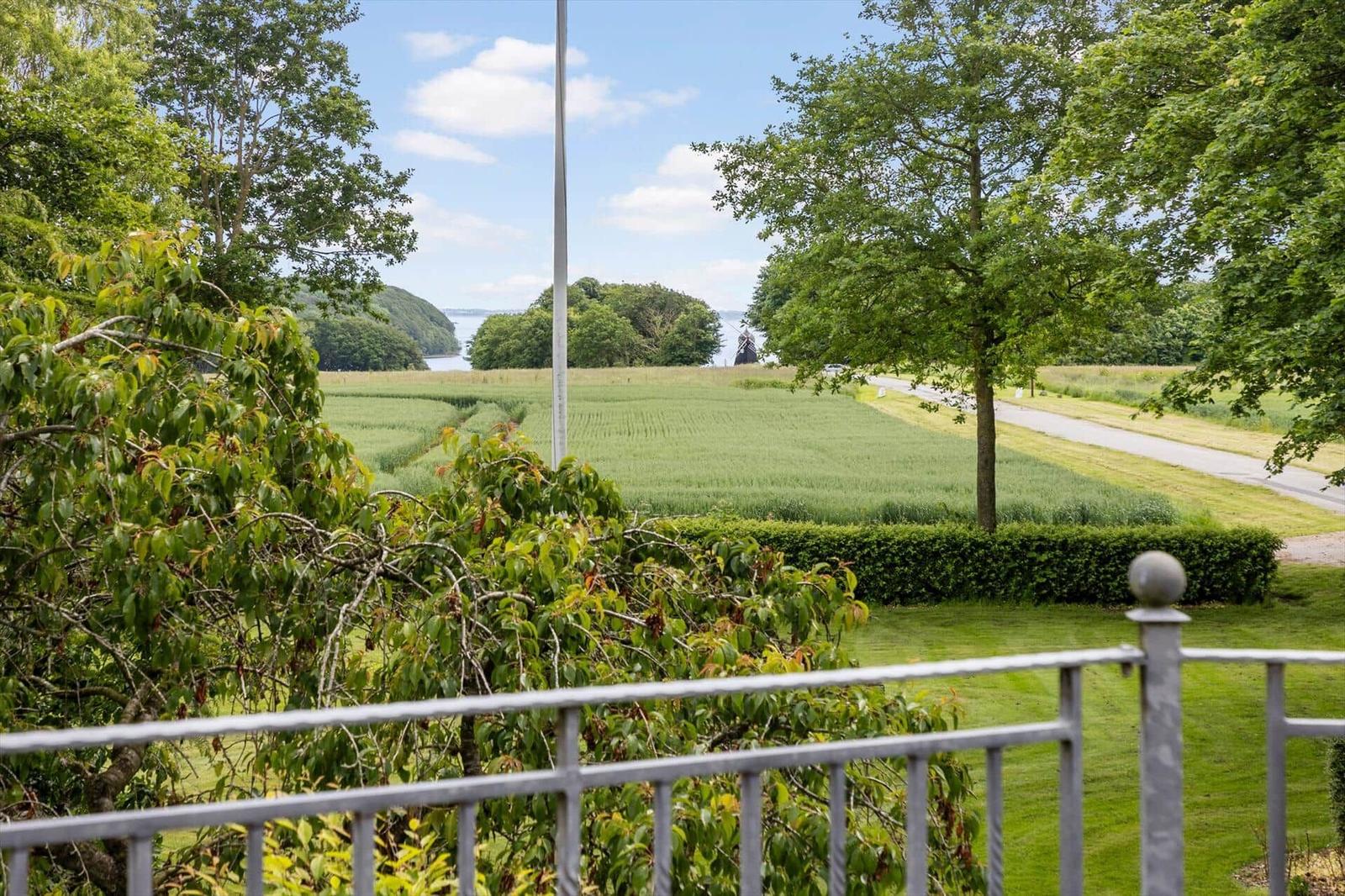Blick auf grünes Feld, Straße und Wasser unter blauem Himmel mit Bäumen und Zaun im Vordergrund.